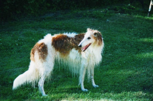 Photo:Charlotta Sevon